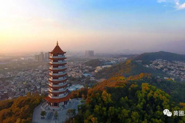 最大限度激發(fā)市場(chǎng)主體活力！市長危偉漢到黃圃調(diào)研，參觀廣東榮業(yè)食品有限公司